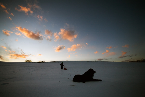 Foto - the last day of winter