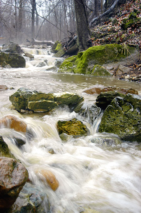 Misty Creek