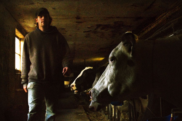 Jakey at Milking Time