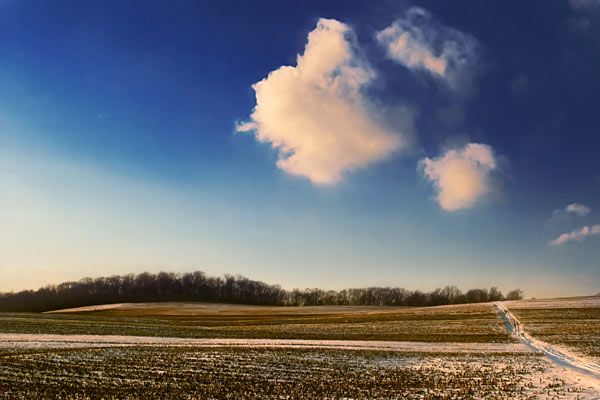 Tractor Path & Clouds