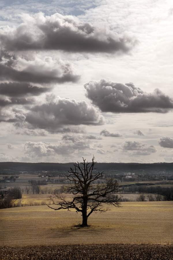 Berks County Vista