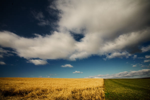 Forks Township Farm