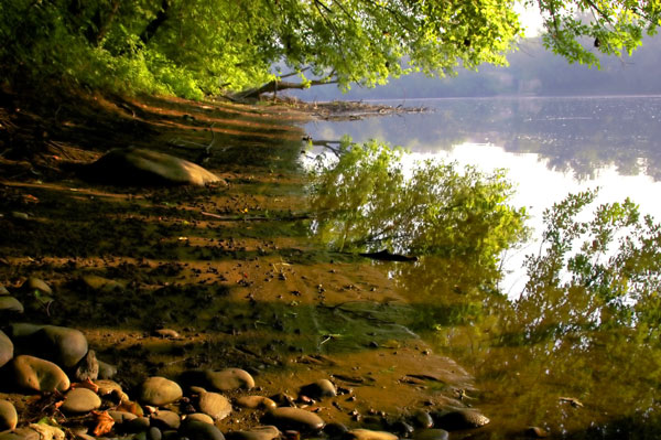 Delaware River Beach Near Riegelsville