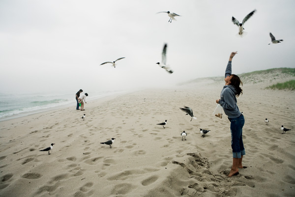 Feeding the Gulls