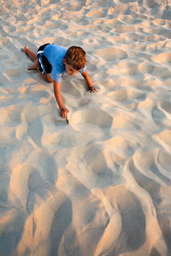 Beachcombing, 8:00 p.m.