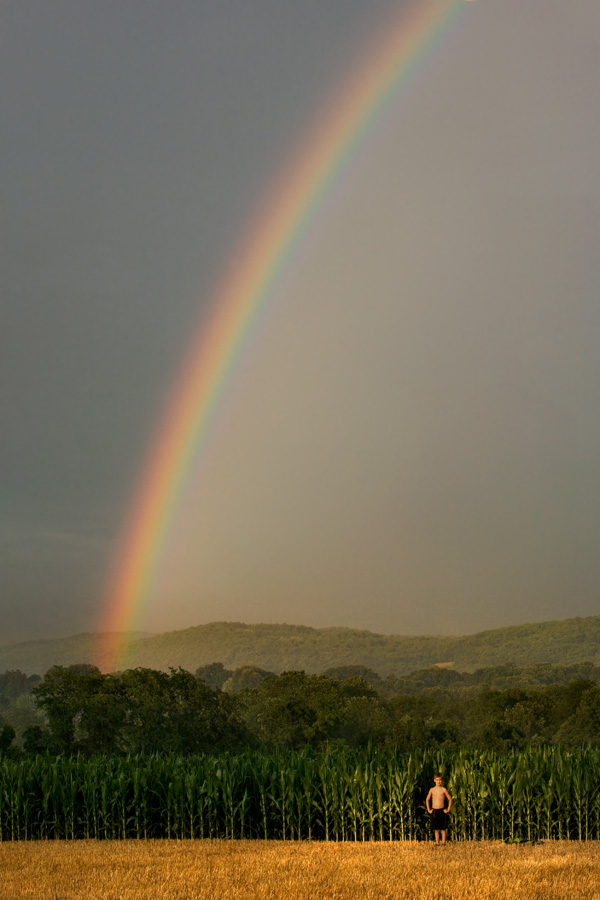 Rainbow in a Cornfield, 7:40 p.m.