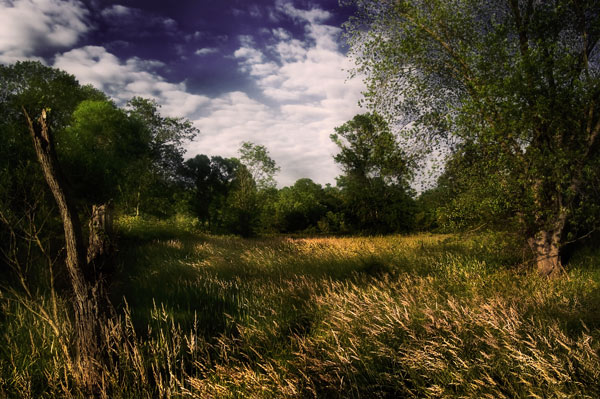 Between the River and the Wetlands