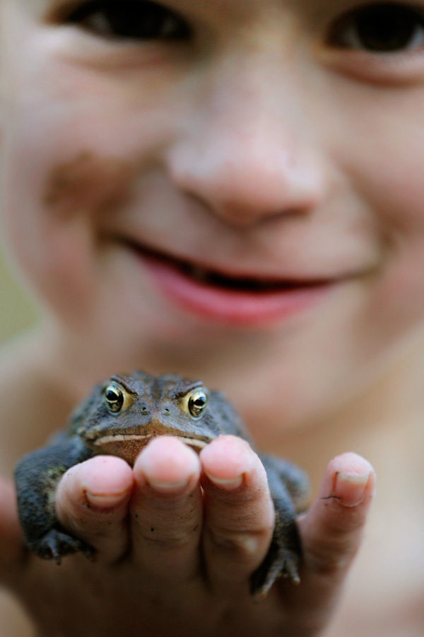 Cooks Creek Frog