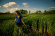 Super Girl with Ox-Eye Daisies (<i>Chrysanthemum leucanthemum</i>)