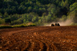 Jakey Planting Corn Between Spring Hill and Sherer's Hill