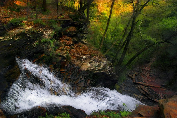 Top of Ganoga Falls, Ricketts Glen State Park