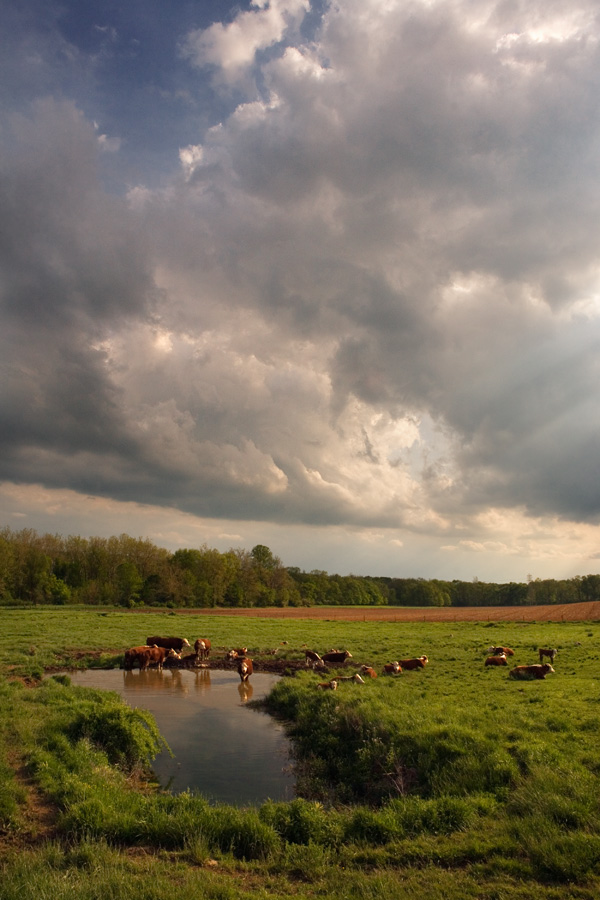 Durham Valley Farm