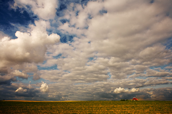 Carpentersville Tractor, 7:00 p.m.