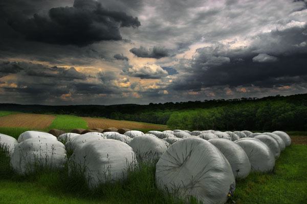 Covered Bales