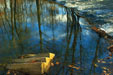 Stairs in the Musconetcong River