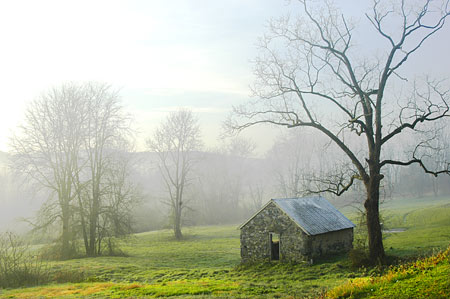 Jim's Shed