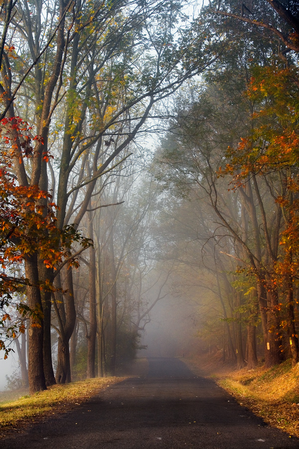 Fog Lifting on Spring Hill 