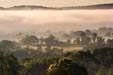 Delaware River Fog, 7:30 a.m.